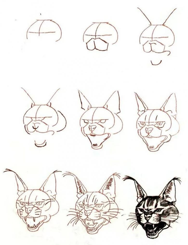 Рисунок кошки поэтапно