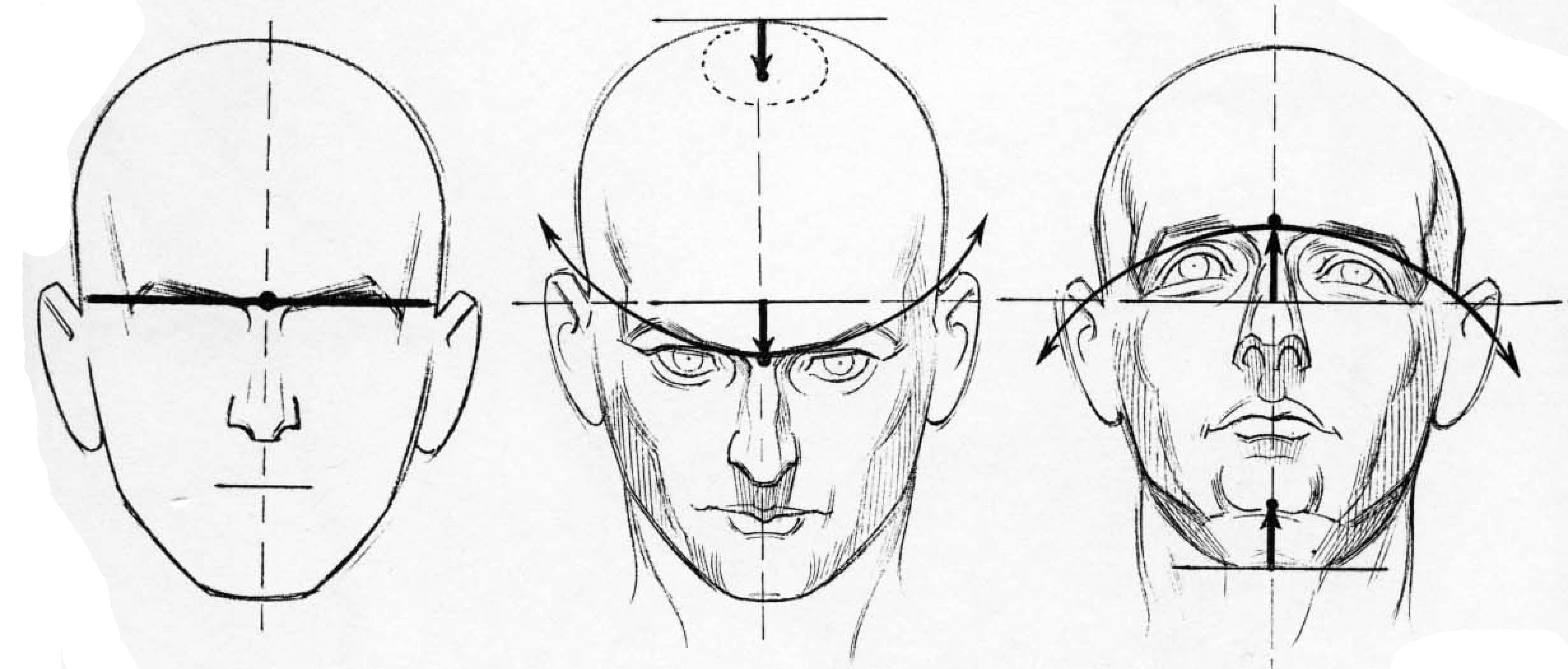 Лицо снизу вверх. Ракурсы лица. Ракурсы головы для рисования. Построение лица человека. Лицо человека рисунок.
