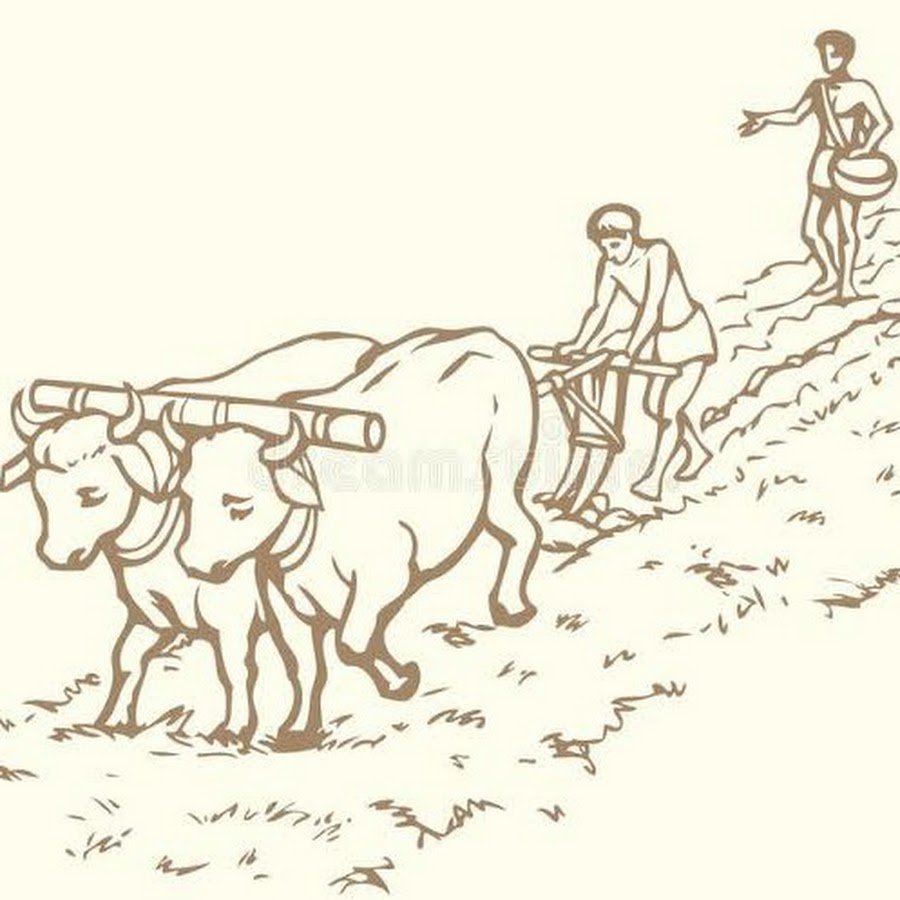 Сельское хозяйство рисунок