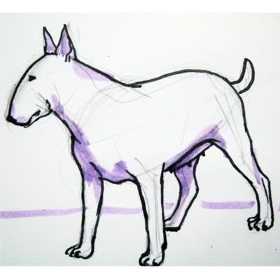 Бультерьер рисунок поэтапно