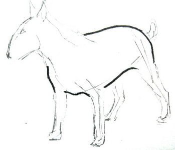 Л.Н.толстой нарисовать бульт несложнонарисовать