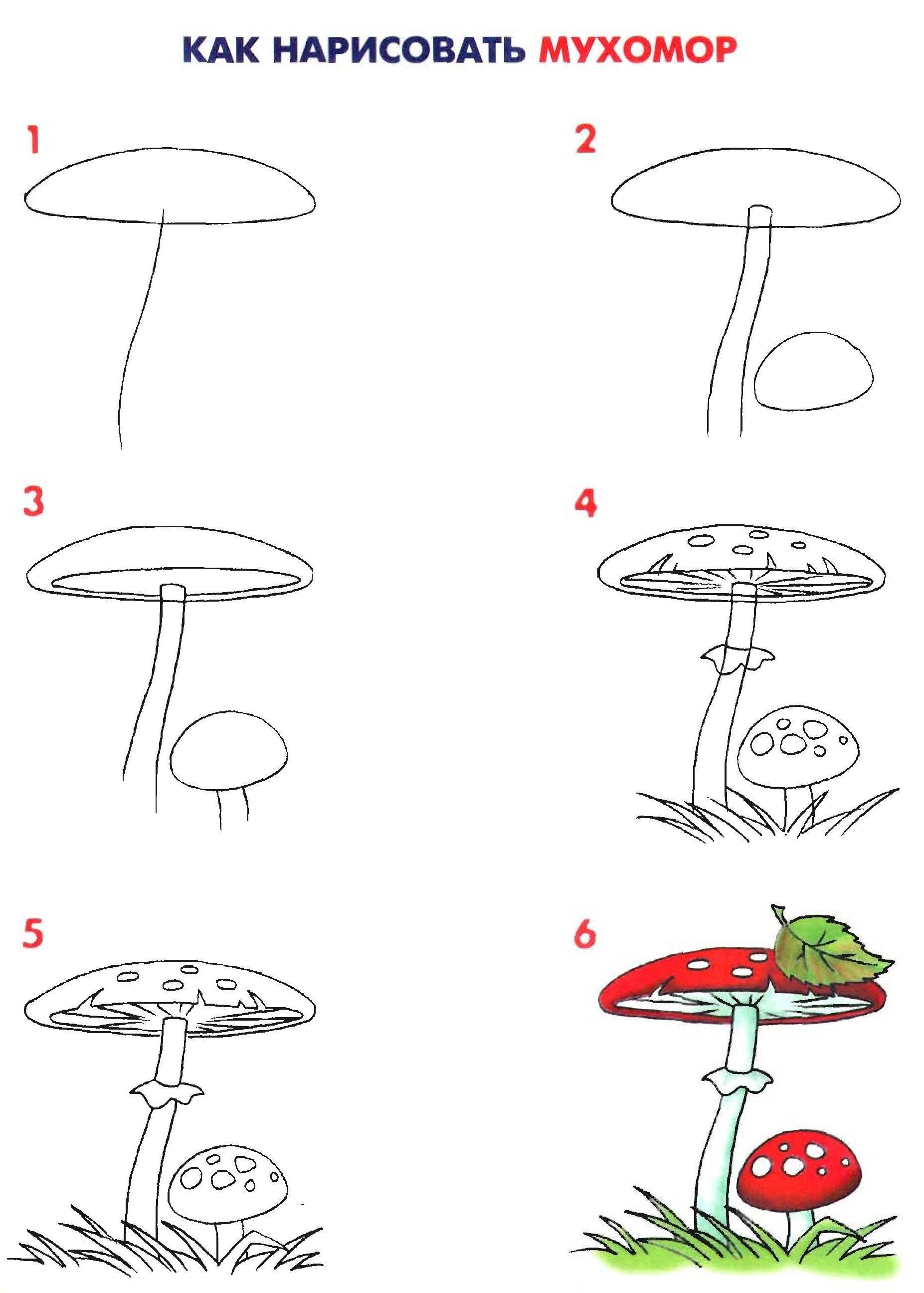 Грибы поэтапно. Нарисовать гриб мухомор поэтапно. Мухомор рисунок для детей карандашом. Схемы рисования для дошкольников. Рисунки грибов карандашом.