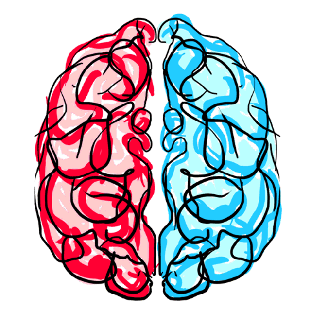 Ковид и мозг. Мозг рисунок. Мозг нарисованный. Прозрачный мозг.