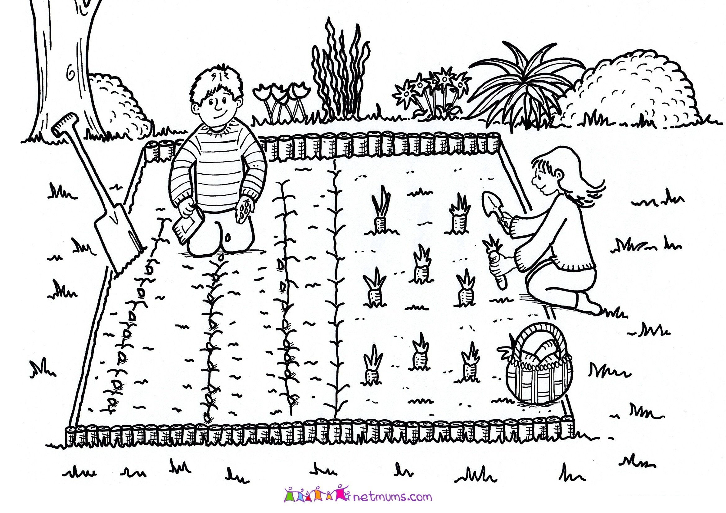 Огород раскраска для детей грядки