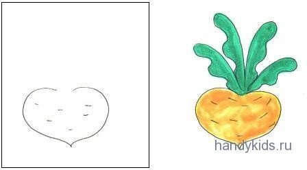 Поэтапное рисование овощей и фруктов