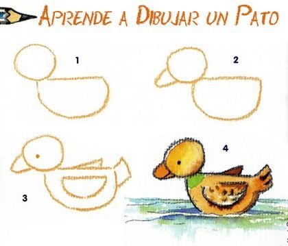 Поэтапное рисование птиц