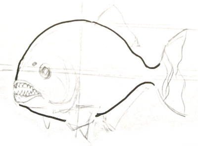 Поэтапное рисование Пиранья