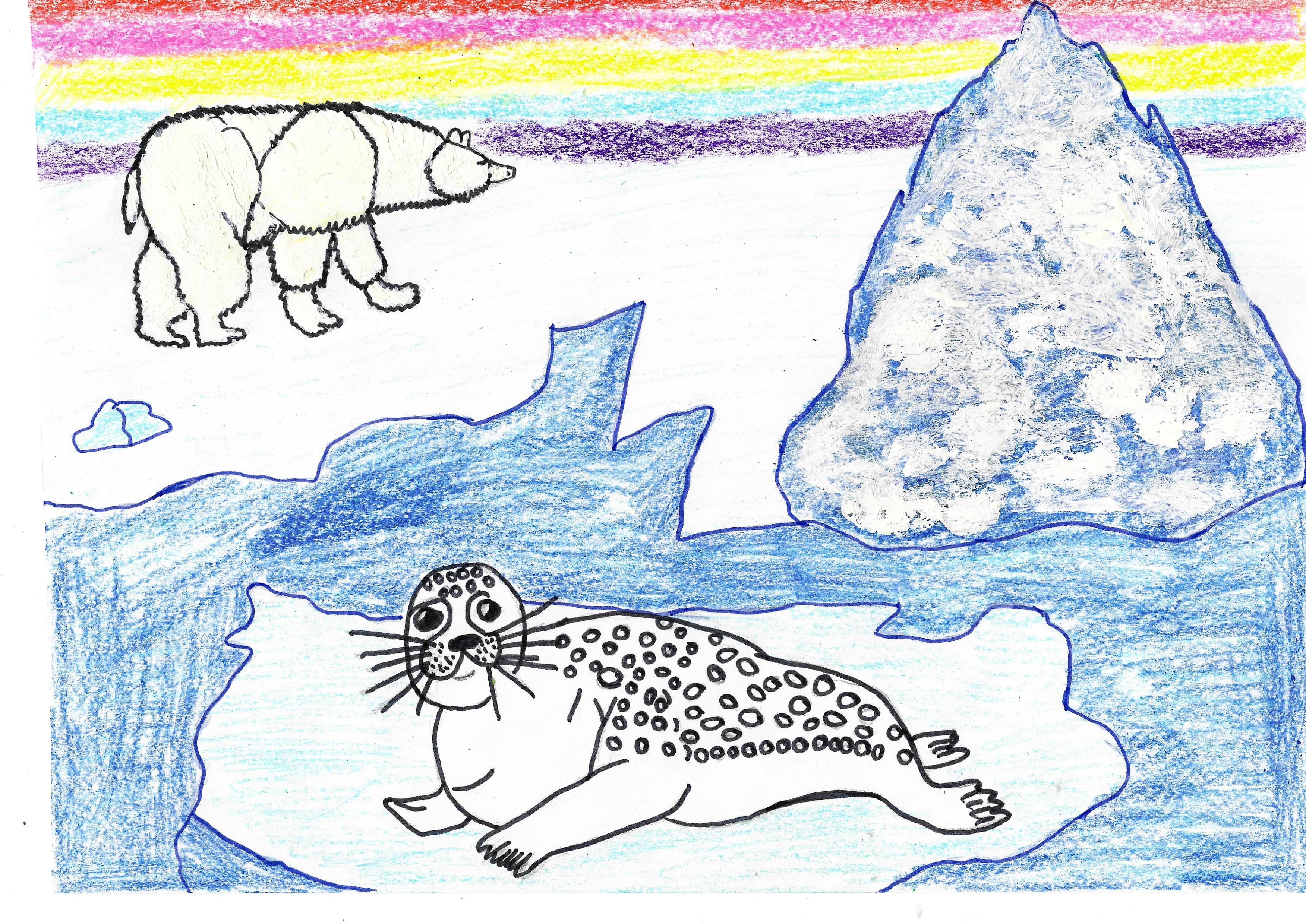 Рисование животных Арктики