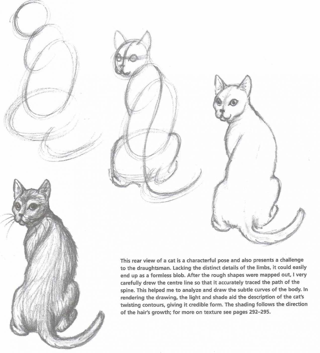Рисунок кошки карандашом средней сложности