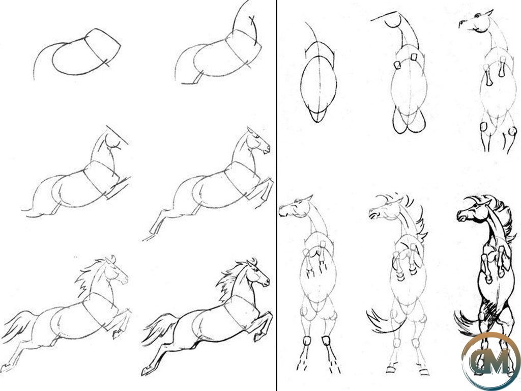 Пошаговый. Как нарисовать коня. Пошаговое рисование коня. Рисование лошади по этапно. Сложные поэтапные рисунки.