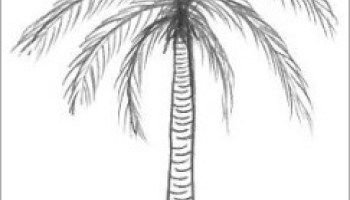 Три пальмы рисунок поэтапно (47 фото)