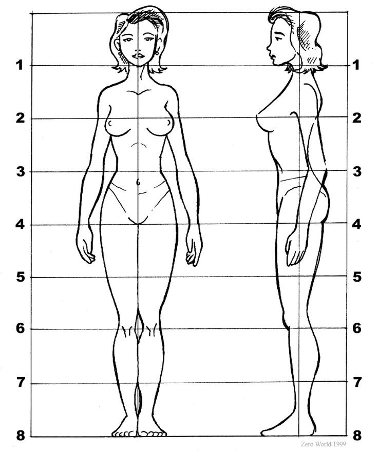 Создайте потрясающие произведения искусства, рисуя анатомию человека с помощью этой книги от Антони Райдера в формате PDF