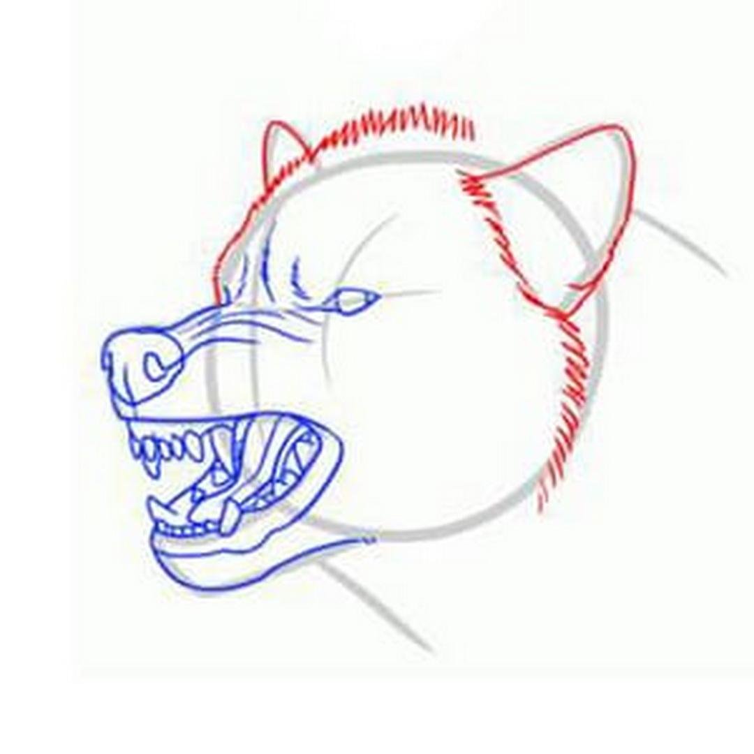 Поэтапное рисование злой собаки