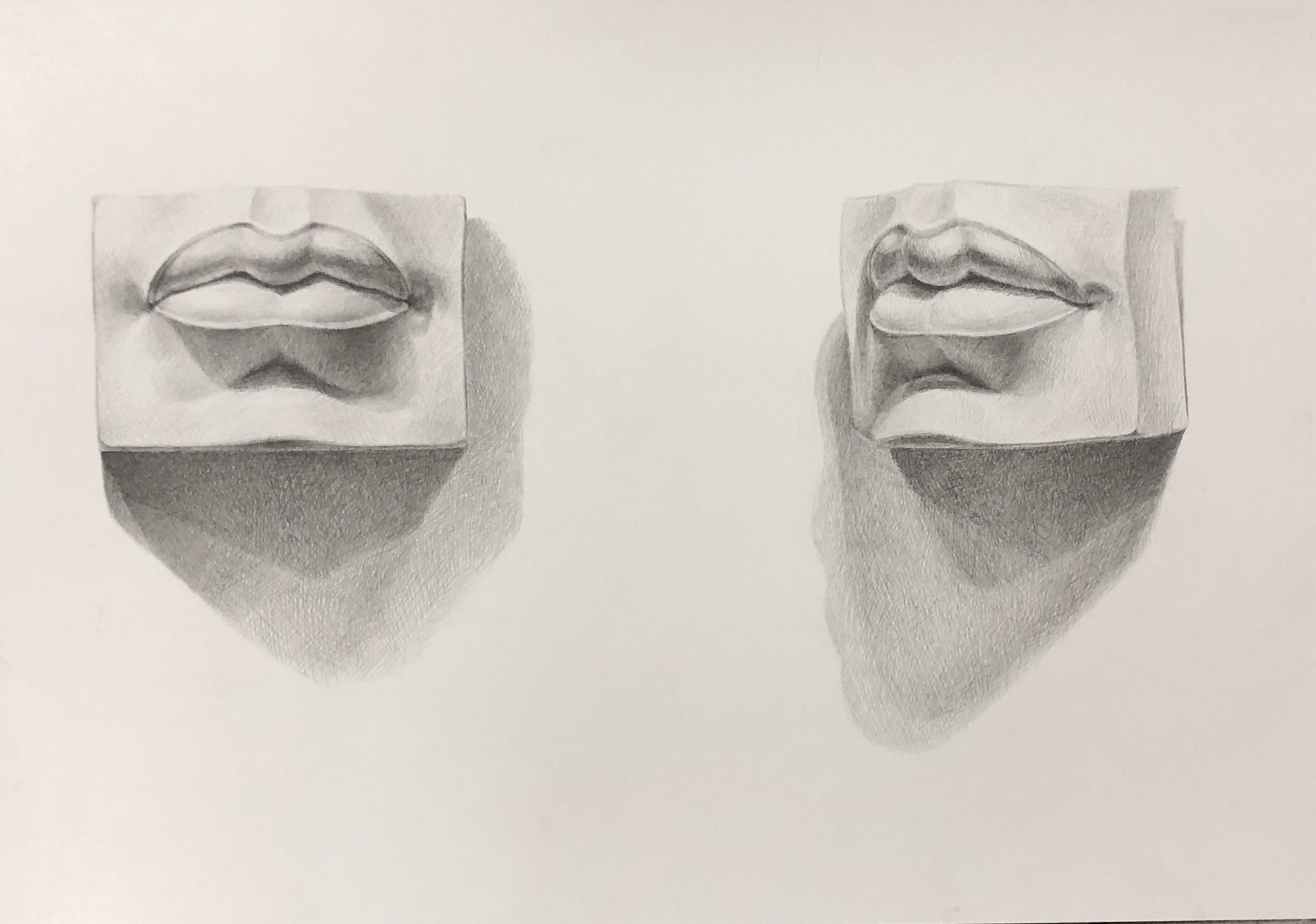 Гипсовый слепок губ Давида анатомия
