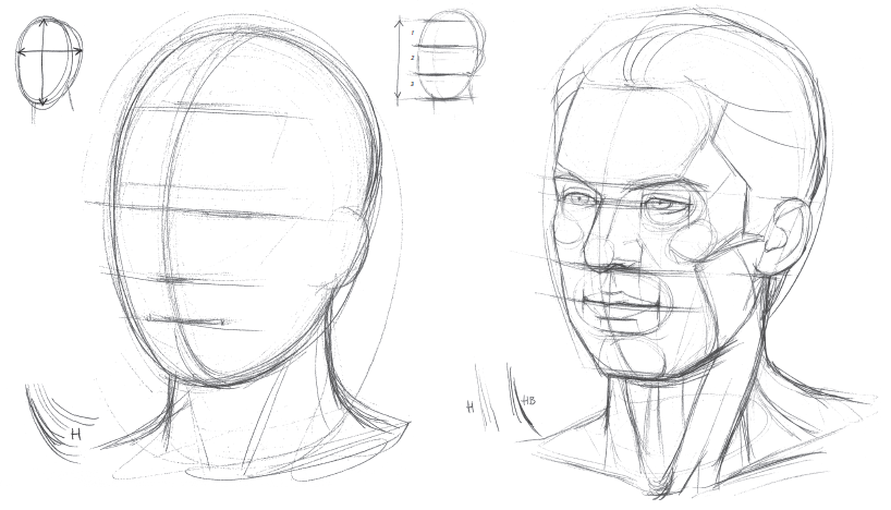 Голова рисунок для начинающих. Этапы рисования лица. Этапы рисования лица человека. Этапы рисования портрета карандашом. Поэтапное рисование лица.