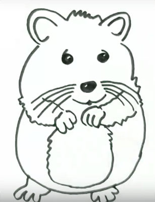Раскраска джунгарский хомячок