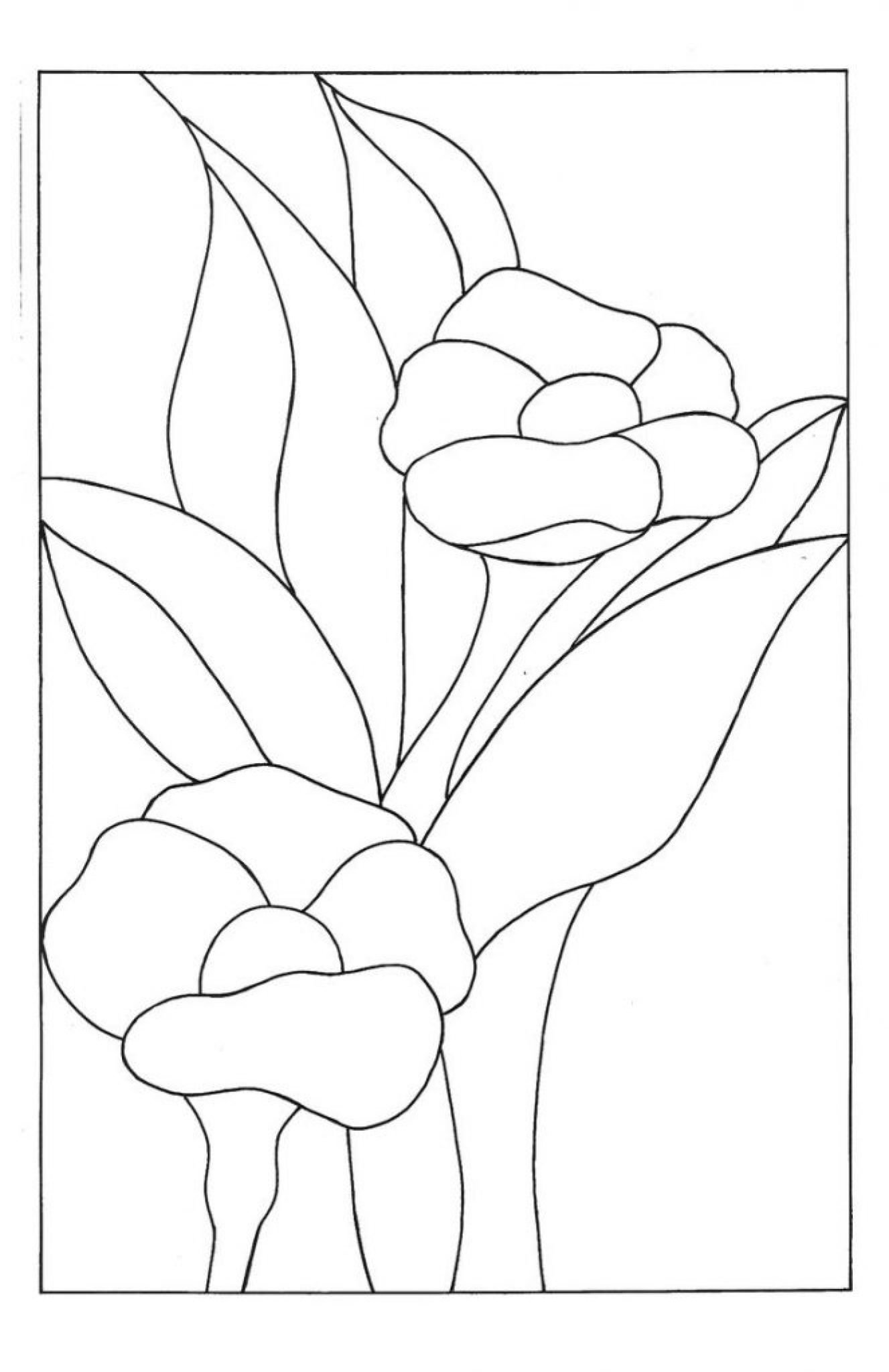 Кинусайга схемы цветы