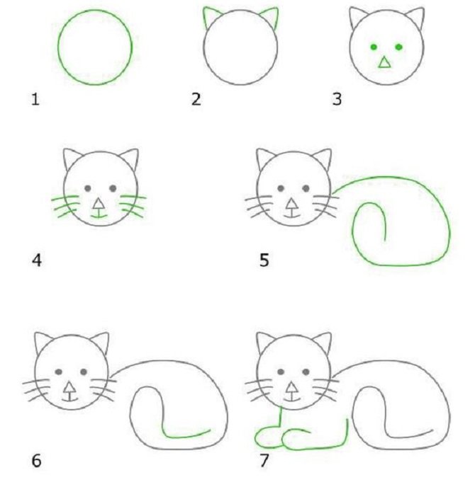 Пошаговый рисунок кошки