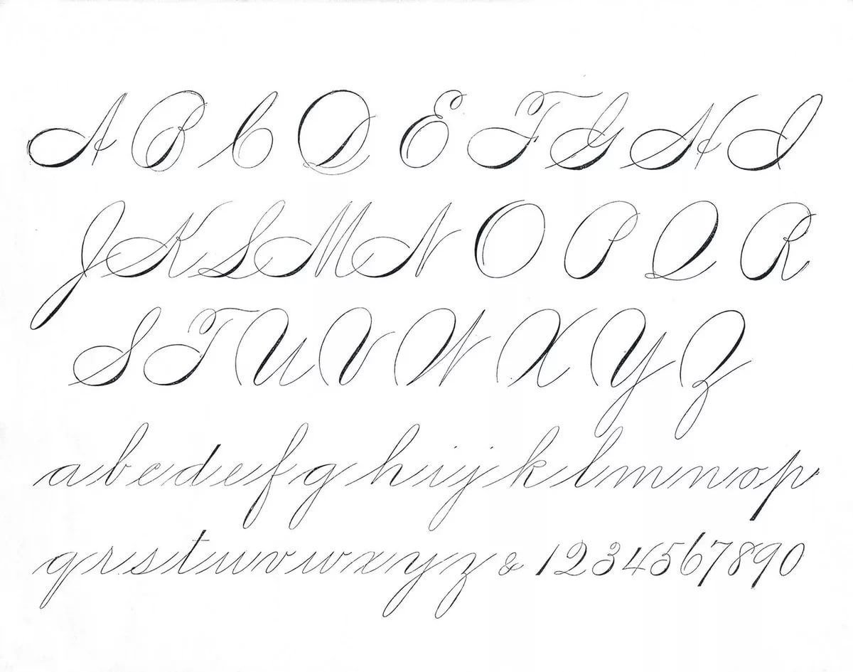 Алфавит спенсериан каллиграфия