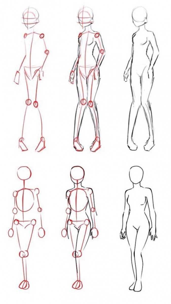 Поэтапное рисование тела