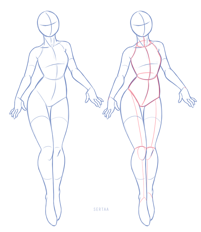 Тело человека для рисования. Анатомия тела для рисования. Анатомия женского тела для рисования. Фигура человека для рисования.