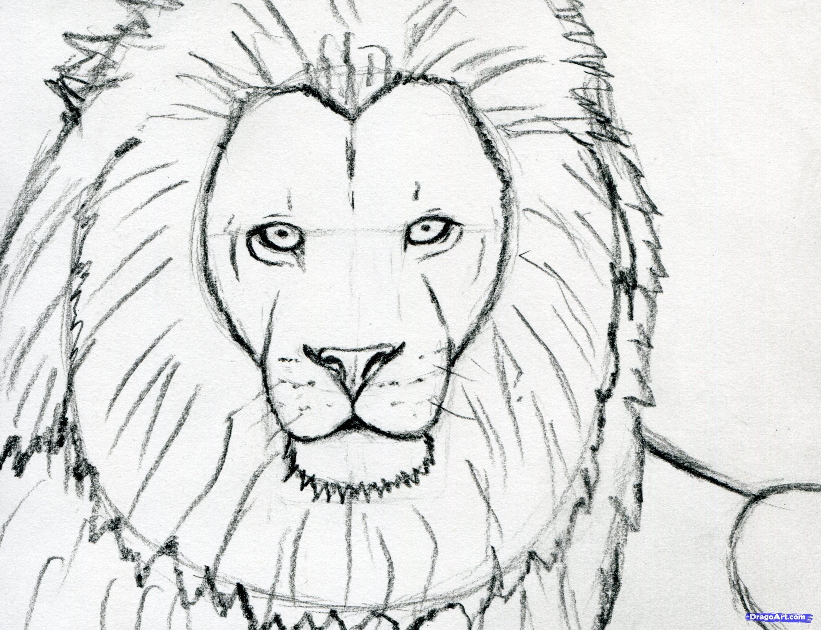 Детский рисунок Льва карандашом