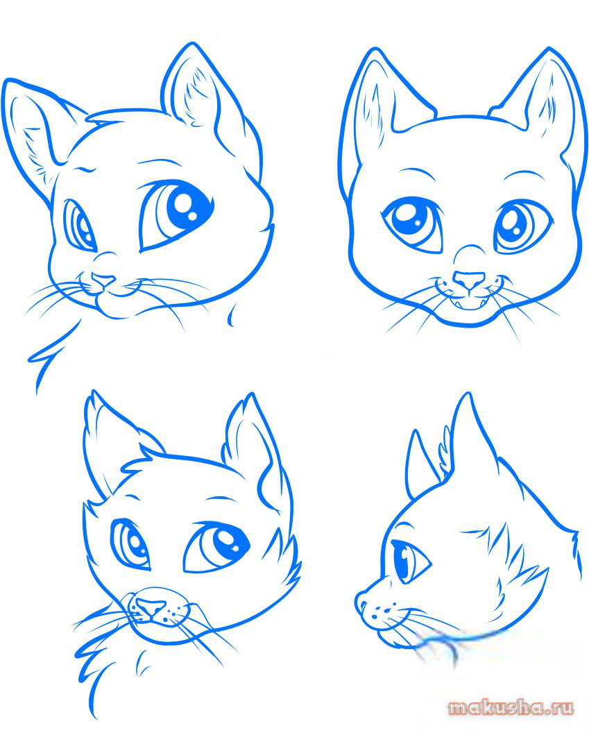 Покажи фотку рисовать. Рисуем морду кошки. Кошачья мордочка рисунок. Поэтапный рисунок морды кошки. Рисунки мультяшных котят.