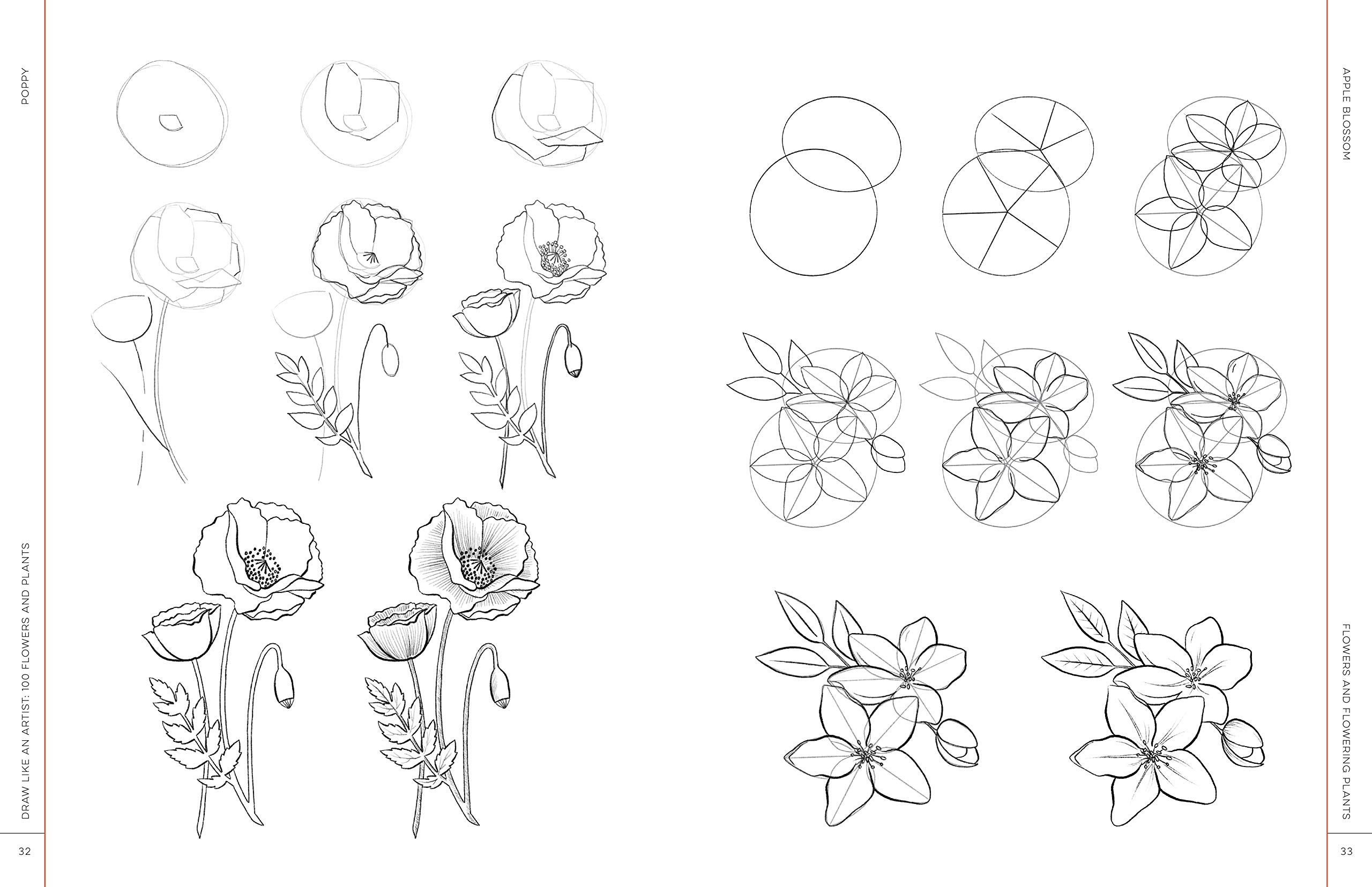 Уроки рисования для начинающих цветы