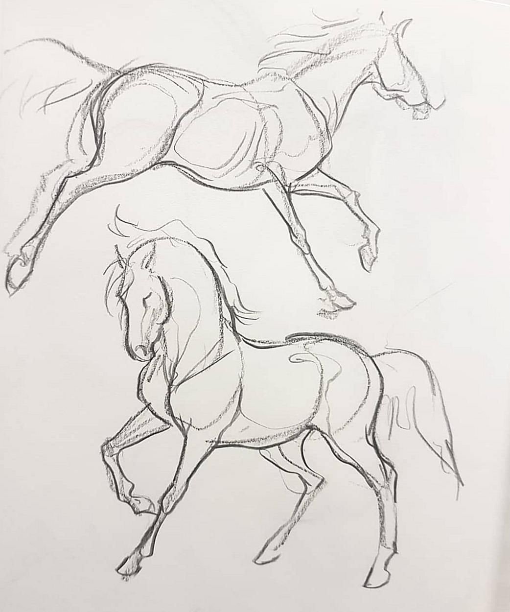 Наброски лошадей карандашом