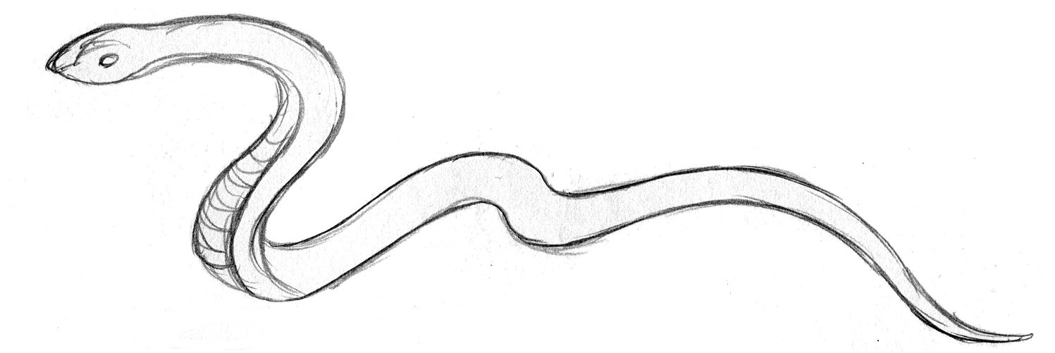 Легкий рисунок змей. Змея рисунок. Змея карандашом. Рисунок змеи для детей для срисовки. Рисунки для срисовки змея.