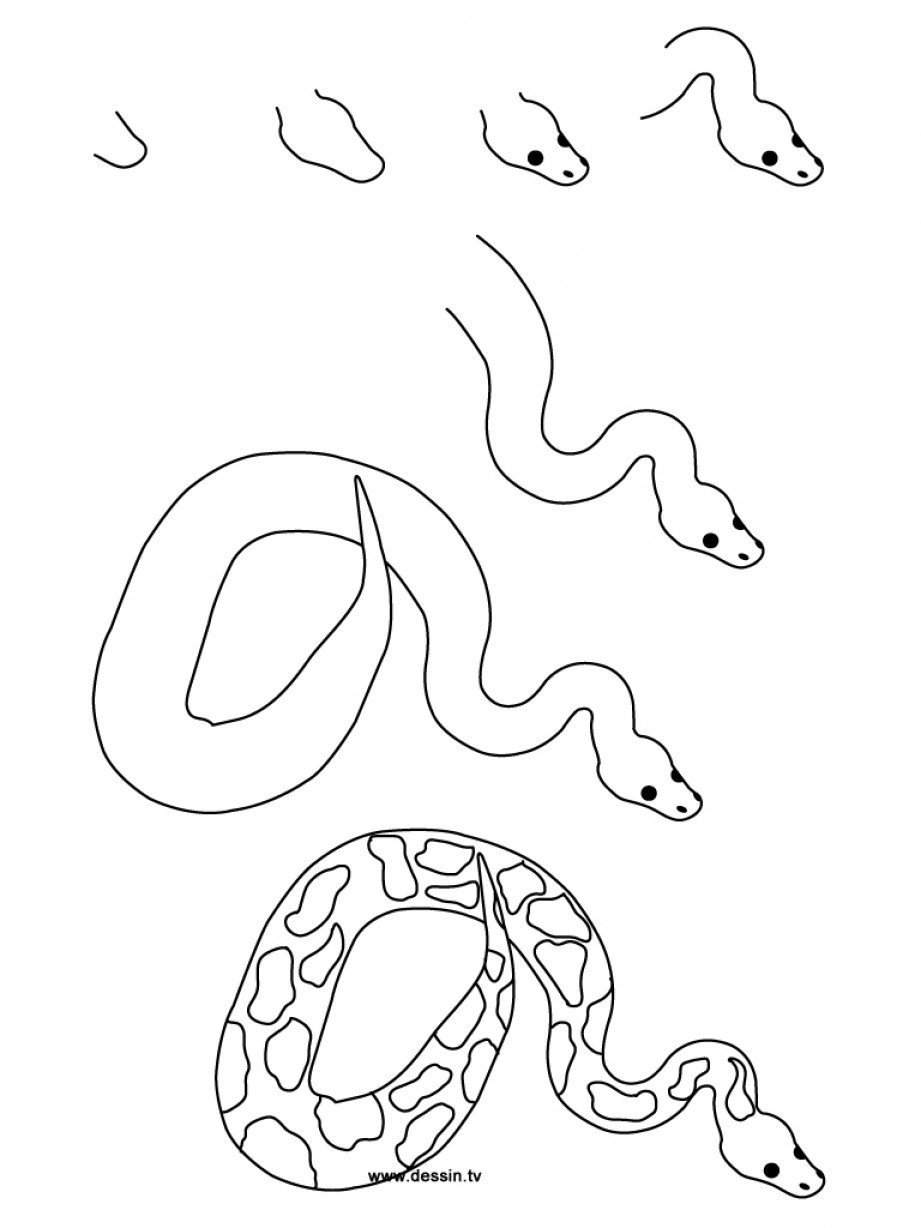 Змейка для начинающих. Змея карандашом. Рисунок змеи для срисовки. Как нарисовать змею. Поэтапное рисование змеи.