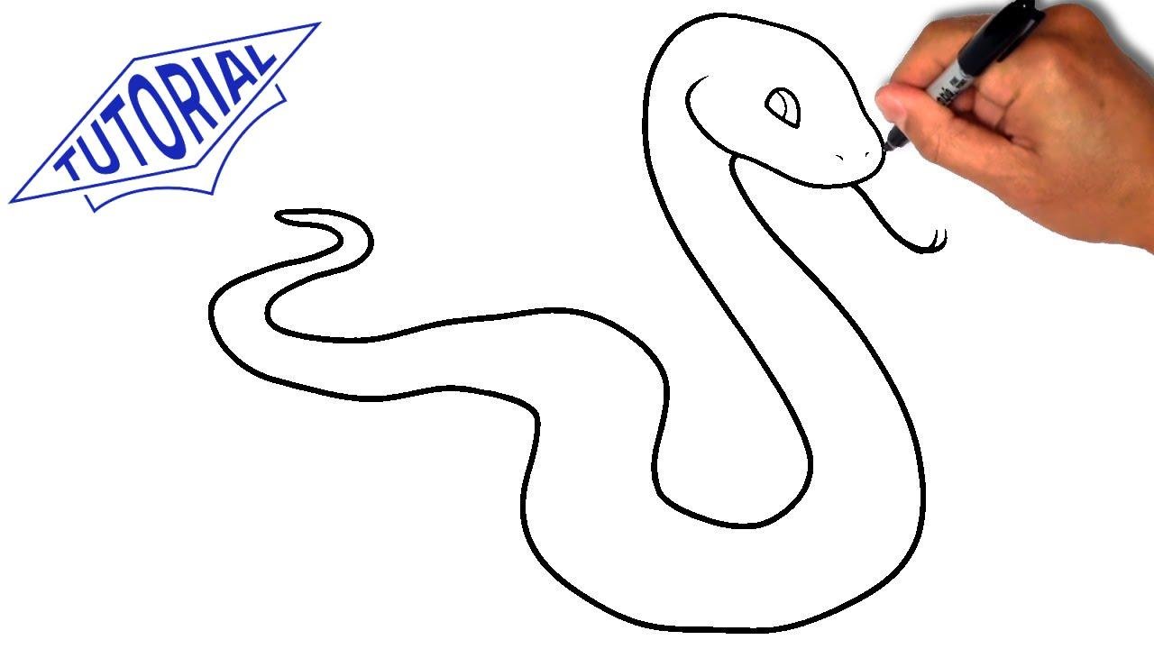 Змейка для начинающих. Змея рисунок. Рисунок змеи карандашом для срисовки. Рисунок змеи для детей. Рисунки для срисовки змея.