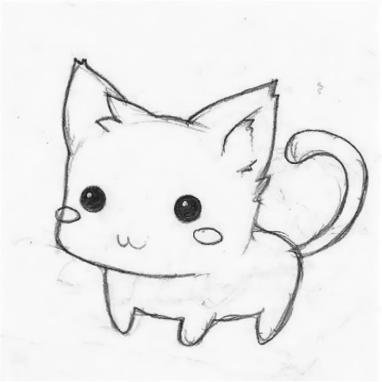 Милые котики для срисовки легко карандашом