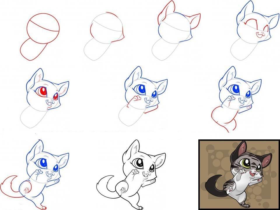 Картинки для начинающих. Поэтапные рисунки котиков. Как нарисовать кота поэтапно. Поэтапный рисунок кошки. Как нарисовать котенка.