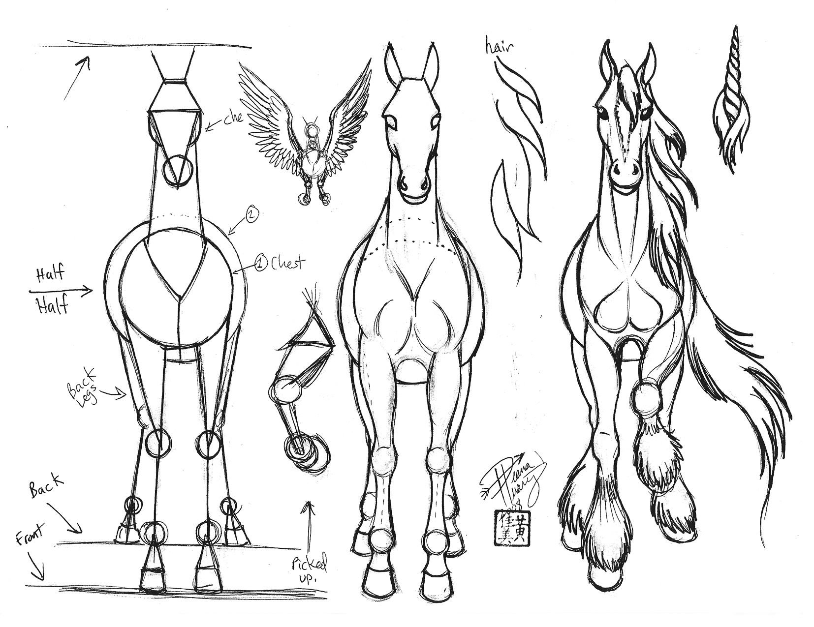 Схема лошади рисунок