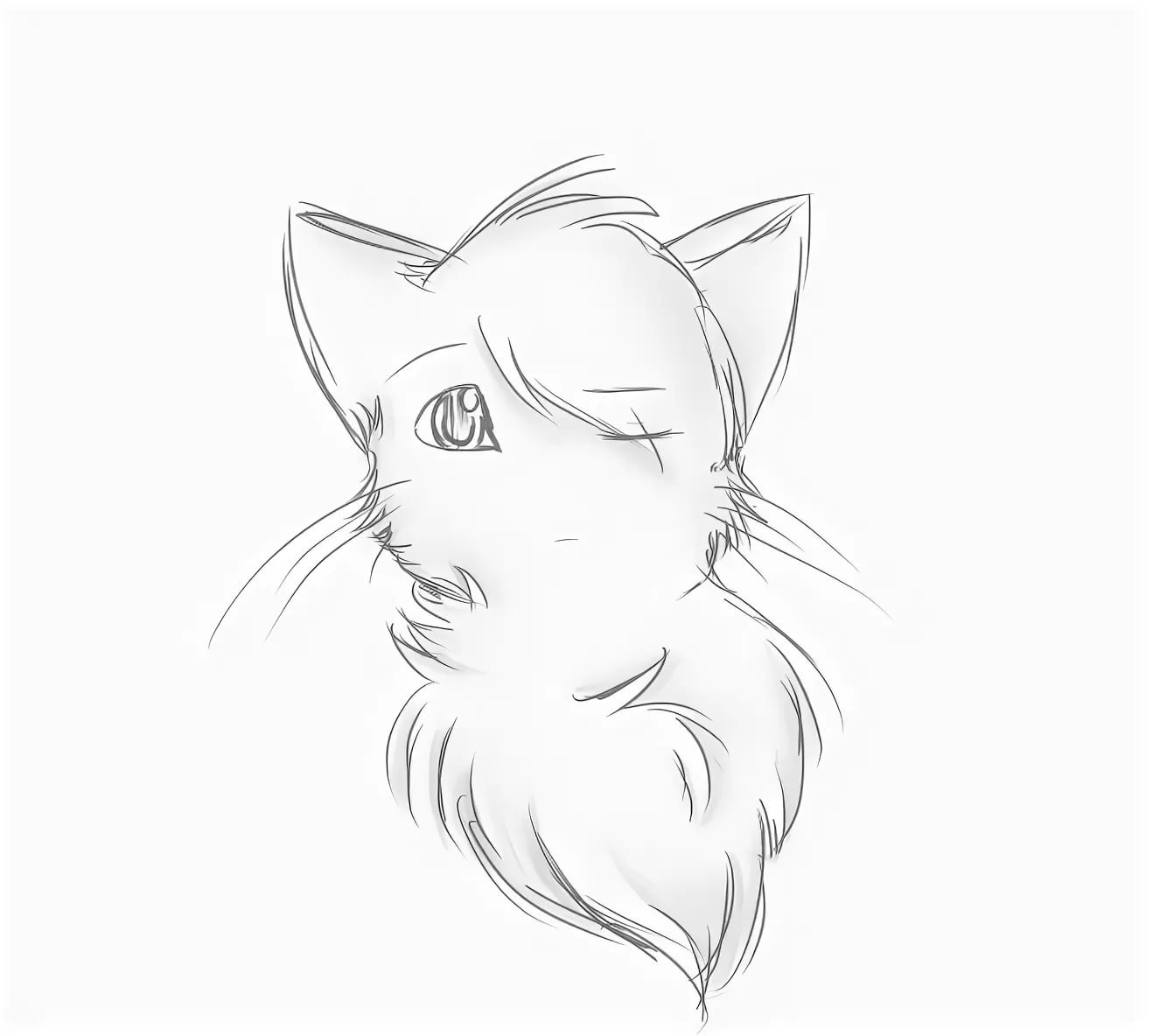 Котик для срисовки карандашом легкие