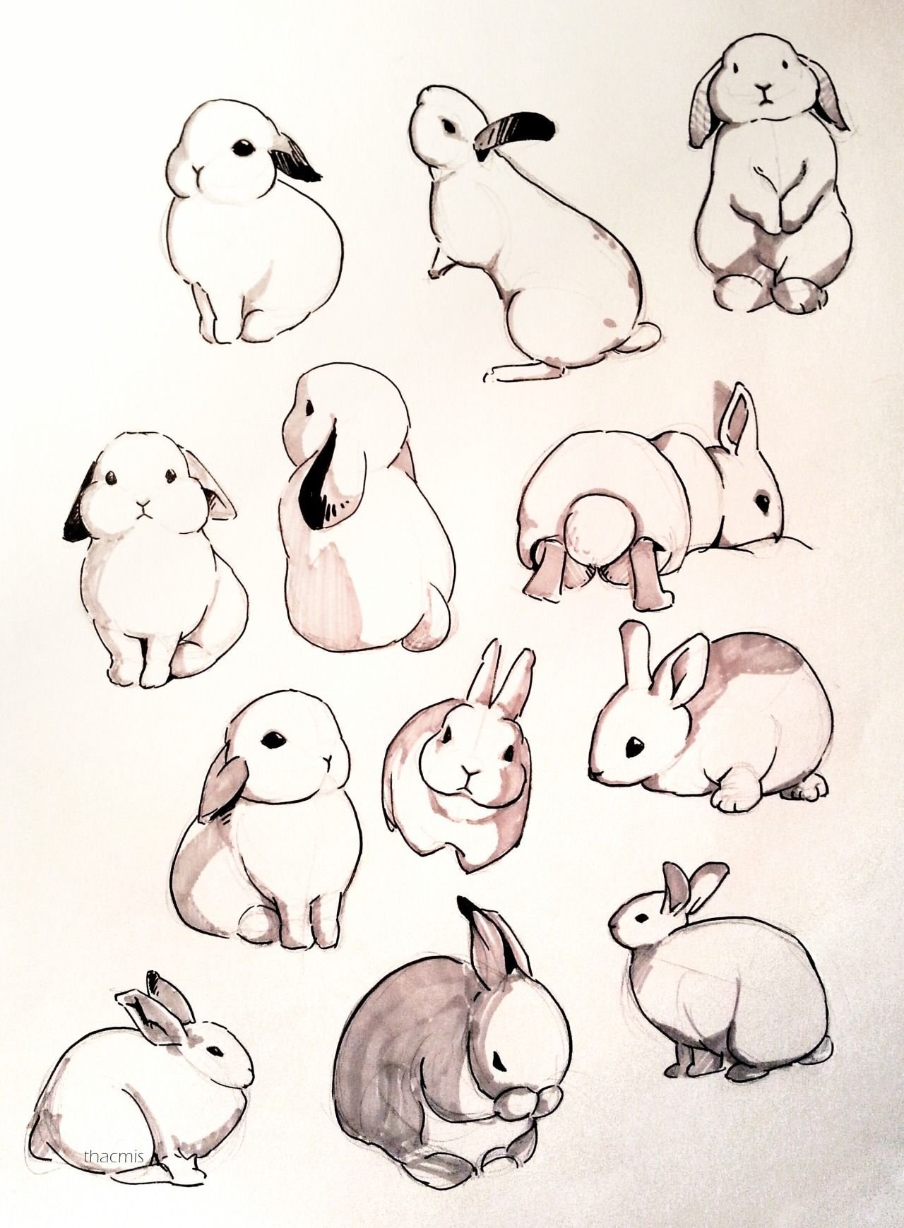 Картинки для срисовки животные