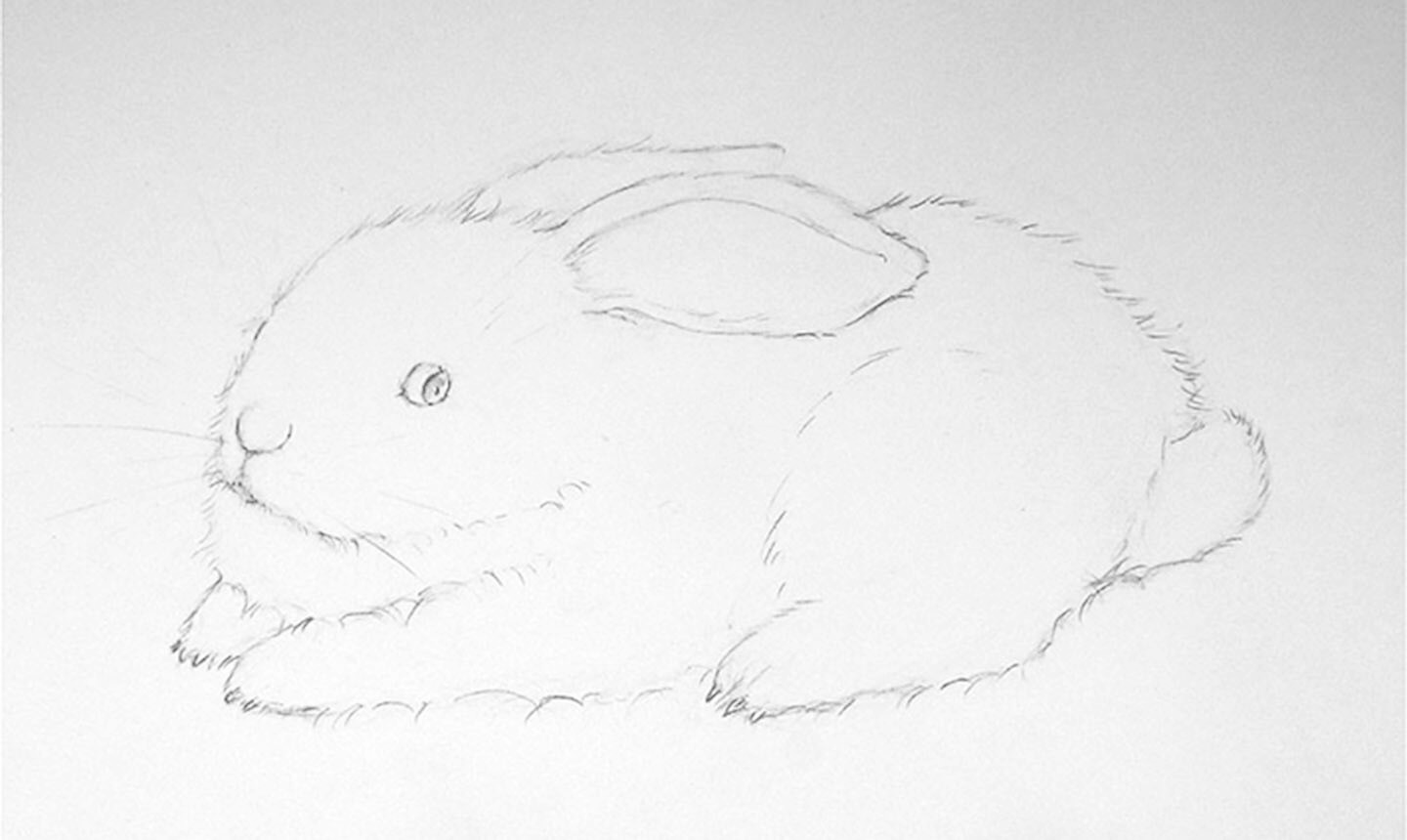 Кролик пушистый карандашом