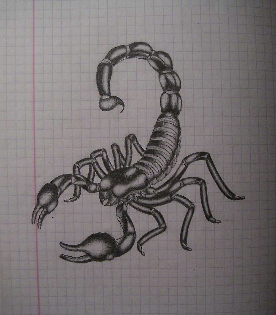 Картинки карандашом скорпион