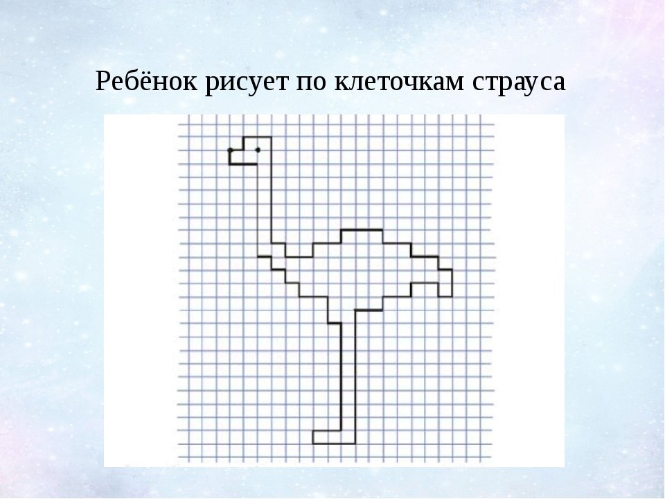 Как нарисовать страуса по клеткам