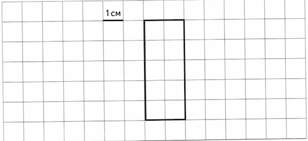 1 клетка в см2. Квадрат на клеточном поле. Две клетки в прямоугольнике. Клетка 1 см на 1 см. Прямоугольник с размерами в клетку.