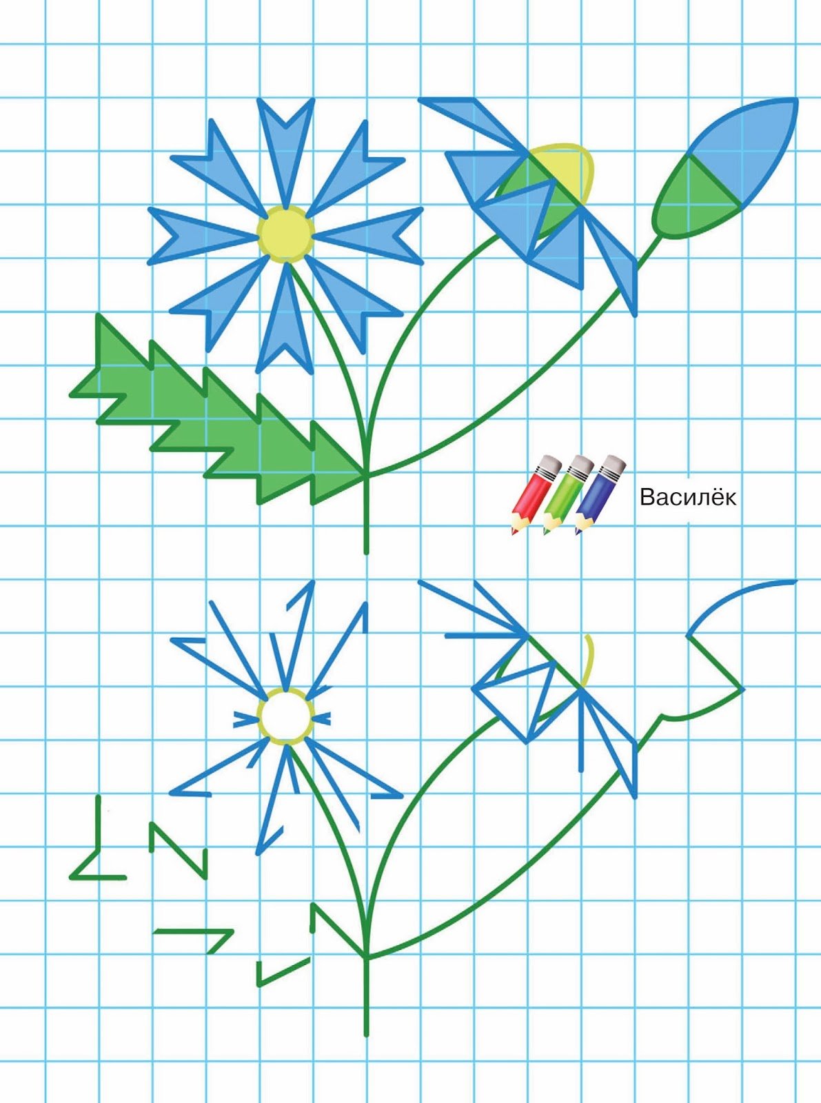 Рисование цветов по клеткам для детей