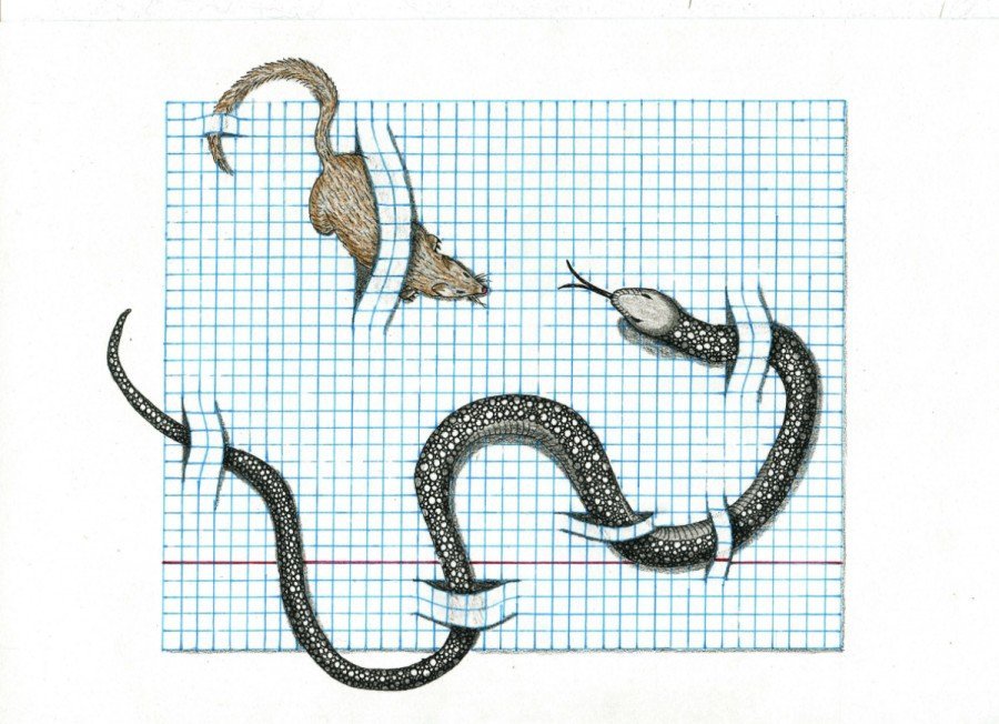 Рисунки по клеточкам змея