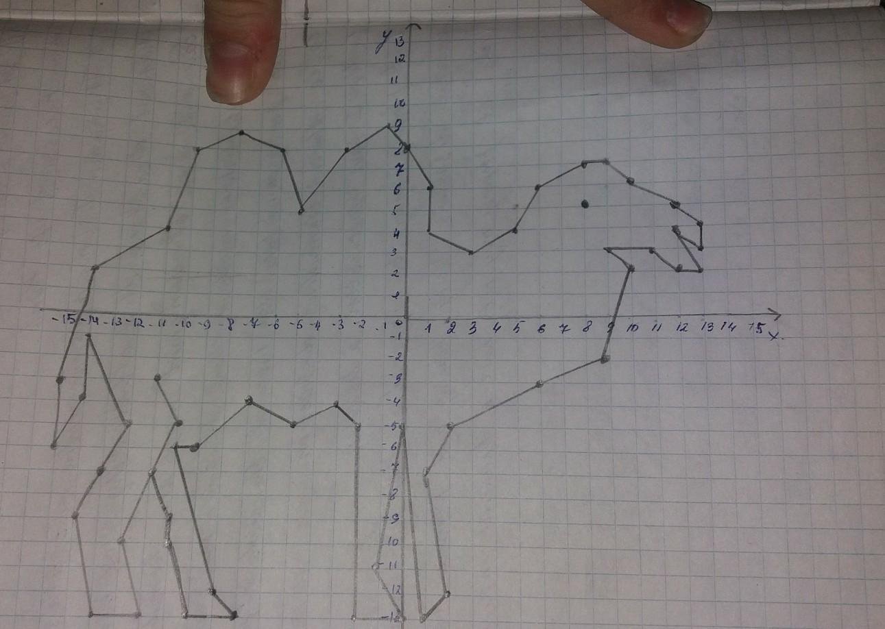Верблюд на координатной плоскости