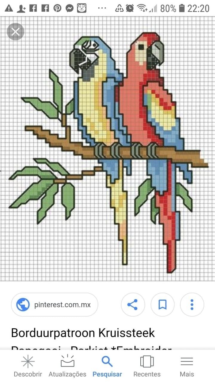 Схема вышивки попугай