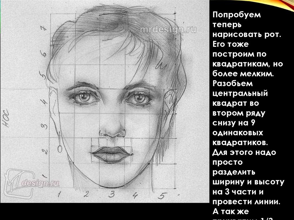 Нарисует какое лицо. Пропорции лица. Лицо для рисования. Зарисовки лица человека. Портрет по пропорциям.