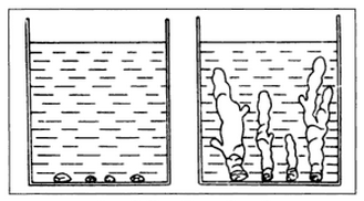 Рост искусственной клетки Траубе