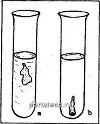 Искусственная клетка Траубе