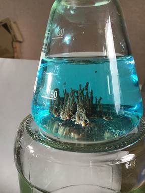 Рост искусственной клетки Траубе лабораторная