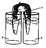 Коллоидный сад химические водоросли